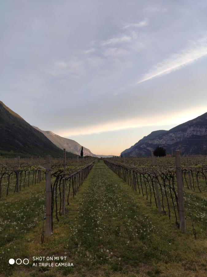 Agriturismo Revena Brentino Belluno Buitenkant foto